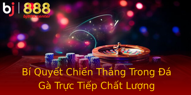 Bí Quyết Chiến Thắng Trong Đá Gà Trực Tiếp Chất Lượng Bí Quyết Chiến Thắng Trong Đá Gà Trực Tiếp Chất Lượng
