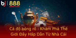 Ca O Bong Ro Kham Pha The Gioi Ay Hap Dan Tu Nha Cai Bj888