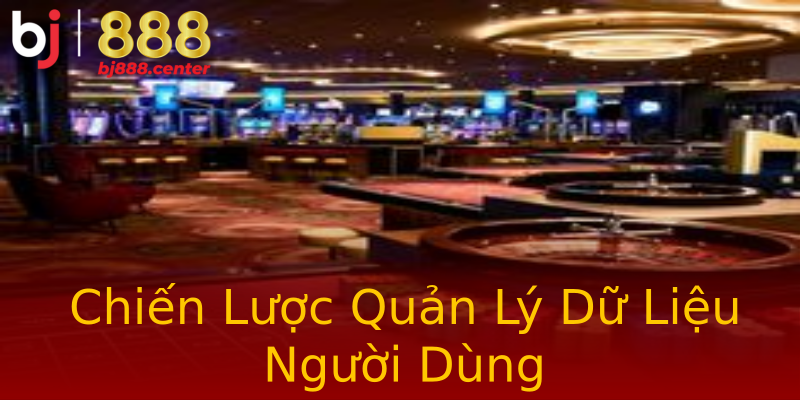 Chiến Lược Quản Lý Dữ Liệu Người Dùng Chiến Lược Quản Lý Dữ Liệu Người Dùng