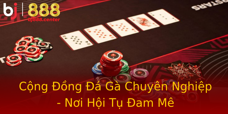 Cộng Đồng Đá Gà Chuyên Nghiệp - Nơi Hội Tụ Đam Mê Cộng Đồng Đá Gà Chuyên Nghiệp - Nơi Hội Tụ Đam Mê