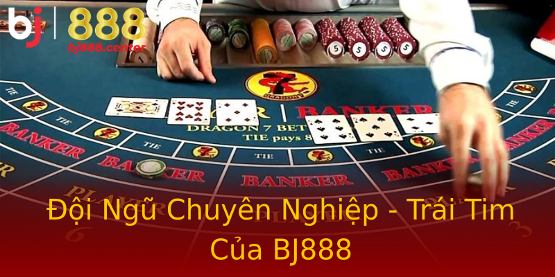Đội Ngũ Chuyên Nghiệp - Trái Tim Của BJ888 Đội Ngũ Chuyên Nghiệp - Trái Tim Của BJ888